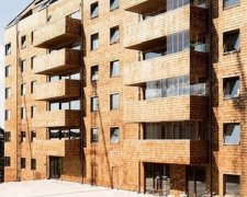Повернутися до витоків: у Москві з'являться дерев'яні багатоповерхівки
