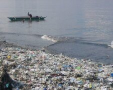 Води світового океану перетворюються на "розсольник", все живе просто горить: "Харчовий ланцюжок під загрозою"