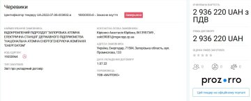 Скандал з тендером на взуття для працівників ЗАЕС. Фото скріншот з Prozorro