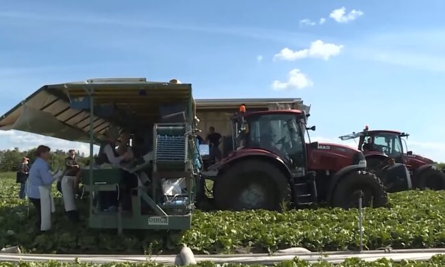 Заробітчани, кадр з відео