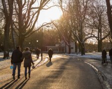 Тернополяни вивалили гори голок в парку, там гуляють наші діти: "Так почався новий рік"