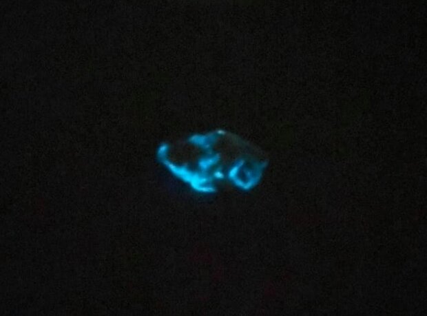 Українка побачила НЛО просто у себе на кухні: курка світилася в темряві