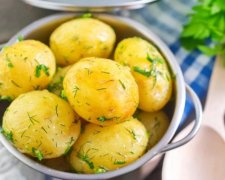 Неймовірні рецепти: як перетворити звичайну картоплю на кулінарний шедевр