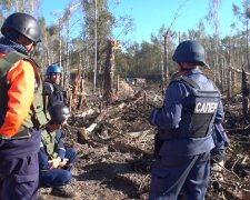 Багатомільйонні втрати під Ічнею: стала відома причина вибухів