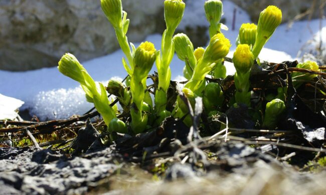 Погода в Украине, фото: КФУ