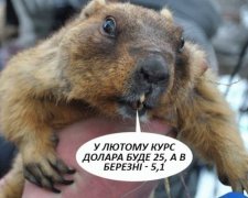 Пророцтво бабака для українського політикуму (фото)