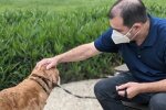 Самсон, фото: City of San Antonio Animal Care Services