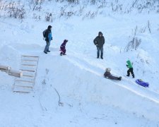Врятував від "ватрушки": реакція батька запобігла трагедії