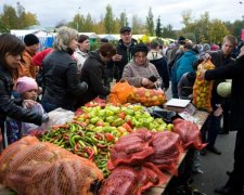 Киянам розповіли, де придбати дешеві продукти