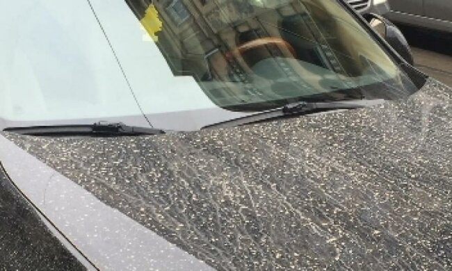 У Львові випав помаранчевий дощ