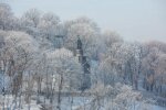 Запахло Новим роком: стихія вкриє Київ сніговою ковдрою 27 грудня