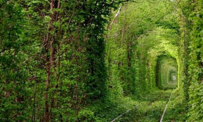 Український "Тунель кохання" здобув світову славу