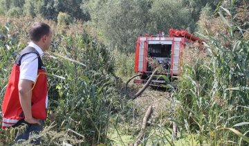 Столичні пожежники гасять п'ять гектарів торфовищ під Києвом (фото)