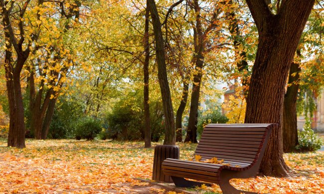 Погода на 6 листопада: стало відомо, коли похолоднішає