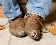 Покращення? Бедность украинцев показали в цифрах