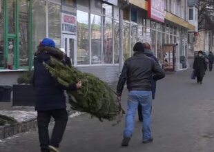 Елка. Фото: скрин youtube