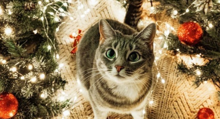 Гороскоп, изображение: Pinterest