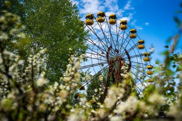 Квітучий світ зони відчуження