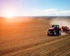 Мораторий на продажу земли: Рада приняла важное решение
