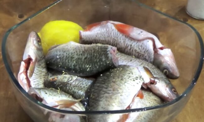 Річкова риба, скріншот: YouTube