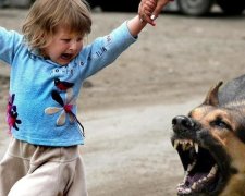 Московский поп держит в страхе целое село на Волыни