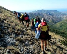 Скандального ректора настигло наказание за ссылку студентов в Крым