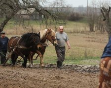 Садок вишневий коло хати: як сільські менеджери відроджують українське село