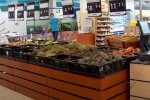 На Тернопольщине взлетели цены на картофель, надежда только на огороды
