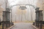 "Не на дачах": комунальники показали, куди поділи старі ліхтарі з Маріїнки