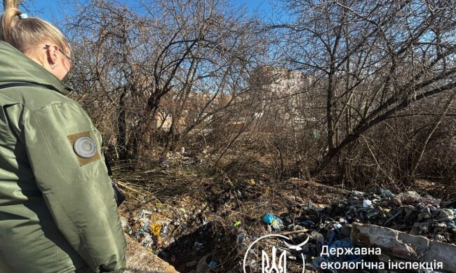 Госэкоинспекция