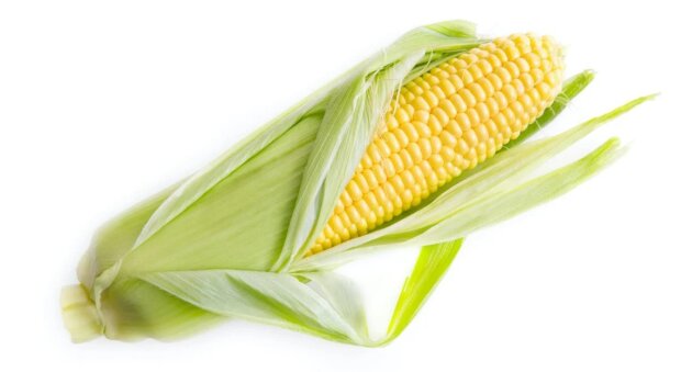 Кукуруза. Фото Pexels