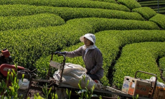 Нації, які вірять лише в сільське господарство, довго не протягнуть, вони приречені на бідність