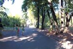 У Дніпрі голий чоловік вивів на прогулянку свого "дружка" — в трусах і з нашийником