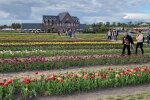 Добропарк, фото: скріншот з відео