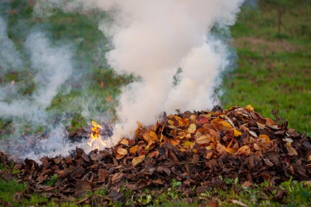 Поджог сухих листьев / фото: Freepik