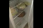 піцерія в Полтаві, скріншот з відео