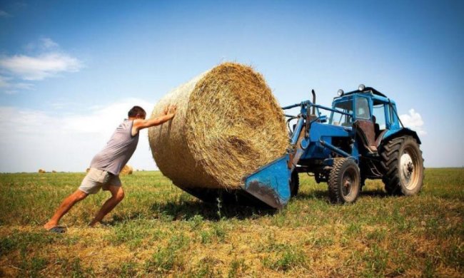 Евдокия Свистунья 30 мая: чего категорически нельзя делать 