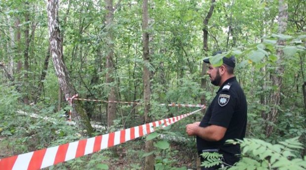 У лісі під Запоріжжям виявили тіло чоловіка, страшна знахідка сколихнула все місто: моторошне відео