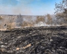 Национальный природный парк "Святые горы"