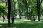 У Франківську дитячий майданчик атакували небезпечні тварюки - малята опинилися в страшній небезпеці