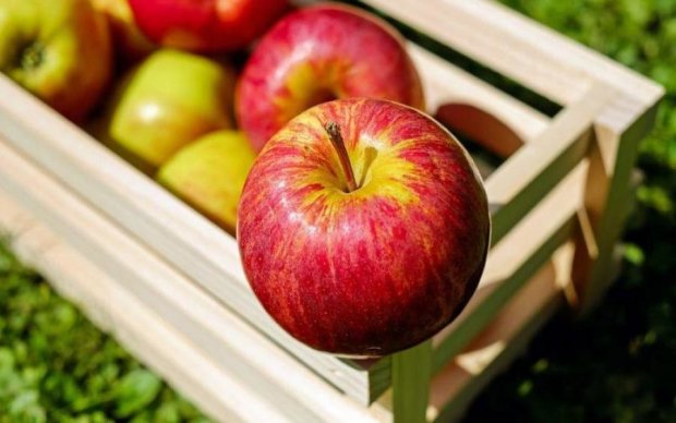 "Нестареющие" яблоки вскоре заполонят прилавки