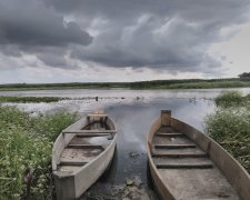 Бобры уничтожают Волынь, целые города могут уйти под воду: люди бьют тревогу, катастрофа уже на пороге