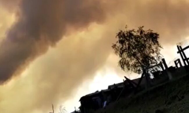 Лісова пожежа. Фото: скрин відео