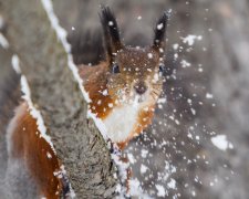 Погода на 15 ноября: настоящий ад для водителей