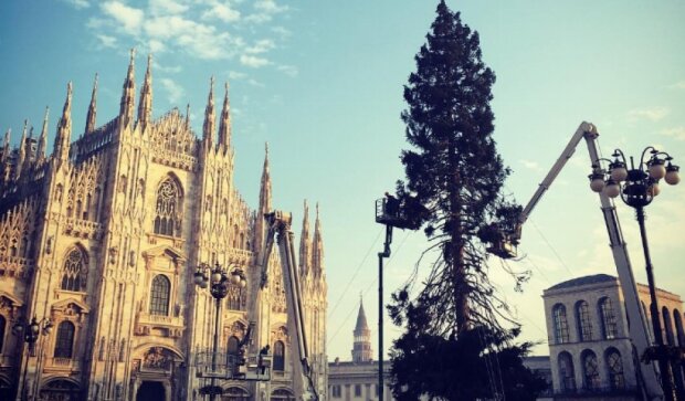 У центрі Мілана встановили лису ялинку (фото)