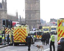 Историк объяснил, как победить терроризм в Европе