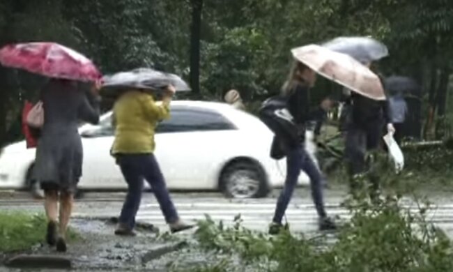 погода в Украине, скриншот из видео