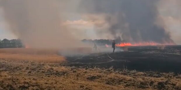 Під Харковом спалахнуло пшеничне поле, скріншот відео
