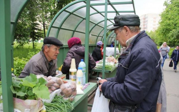 Молочний апокаліпсис: українським селянам заборонять продавати 