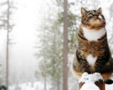 Не прячьте зонтики! Кому погода приподнесет сюрприз